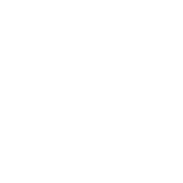mint ave